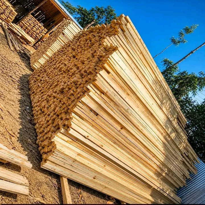 Cypress Roofing Timber, KES 90 per foot — 2×3, 2×4, 4×2 · Seasoned & treated